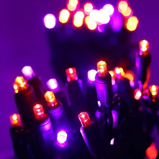 50 5mm ColorSplash Victorian Red Orange Purple LED Christmas Lights 6’’ Spacing - Christmas Lights