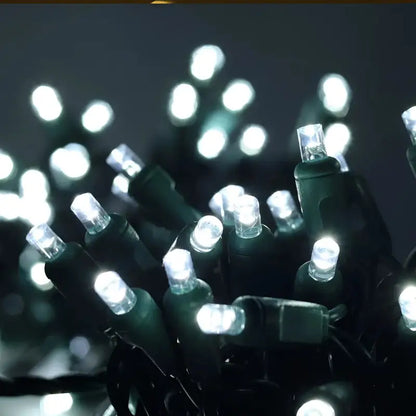 50 5mm Cool White LED Christmas Lights 4’’ Spacing - Christmas Lights