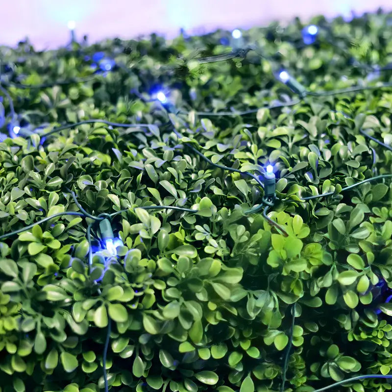 5mm 4’ x 6’ Blue DreamSpark Smooth Fade LED Net Lights - Christmas Lights