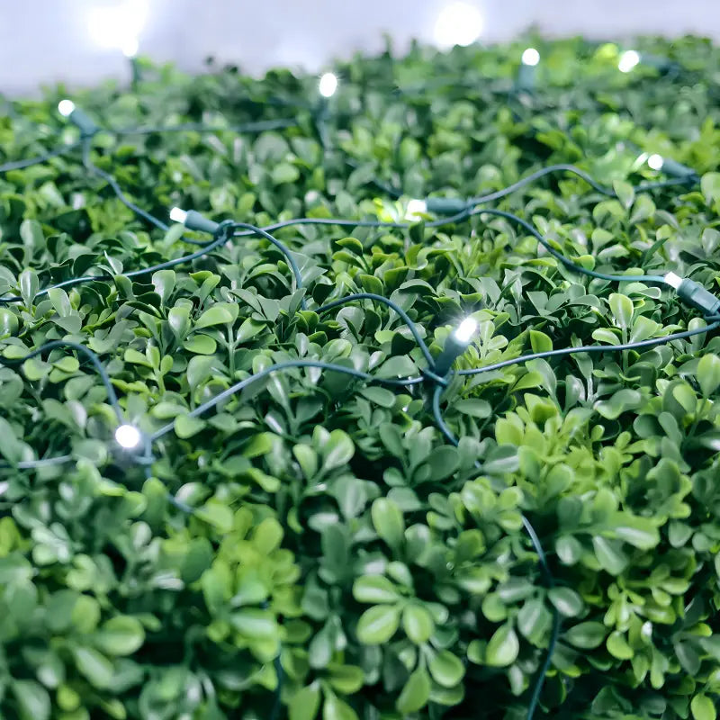 5mm 4’ x 6’ Cool White DreamSpark Smooth Fade LED Net Lights - Christmas Lights