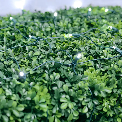 5mm 4’ x 6’ Cool White DreamSpark Smooth Fade LED Net Lights - Christmas Lights