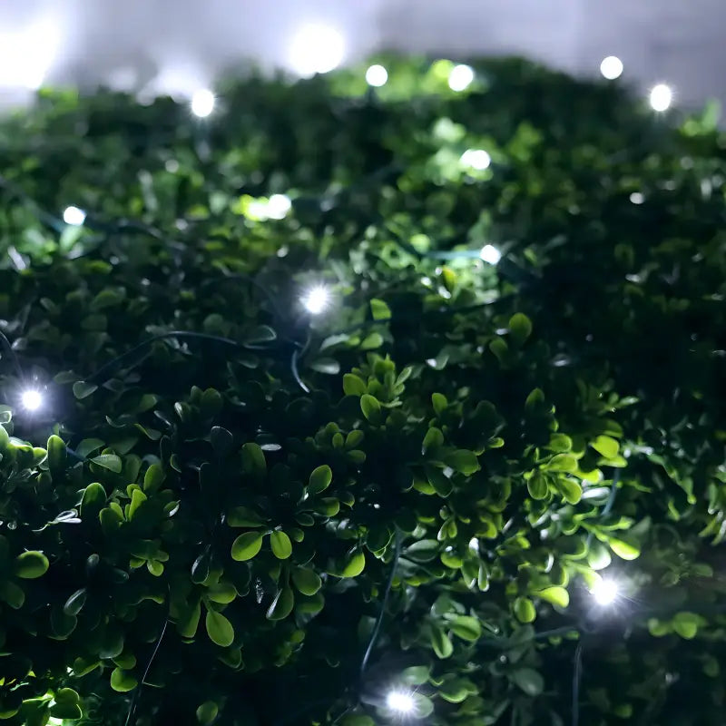 5mm 4’ x 6’ Cool White DreamSpark Smooth Fade LED Net Lights - Christmas Lights