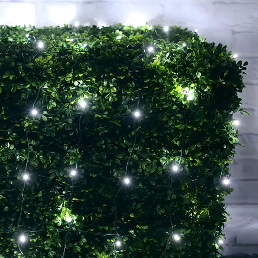 5mm 4’ x 6’ Cool White LED Net Lights - Christmas Lights