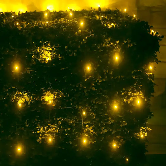 5mm 4’ x 6’ Gold LED Net Lights - Christmas Lights