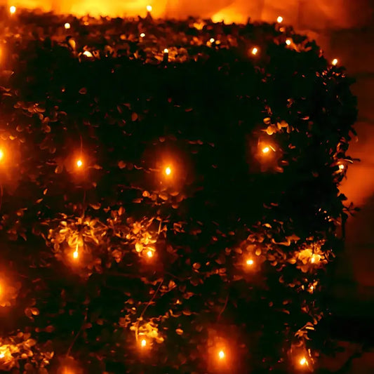 5mm 4’ x 6’ Orange LED Net Lights - Christmas Lights