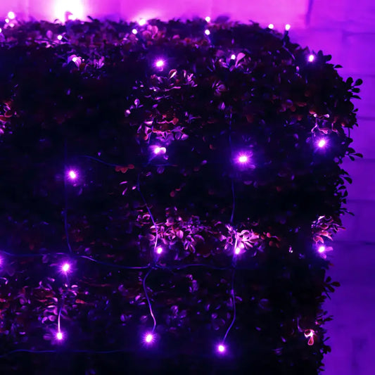 5mm 4’ x 6’ Purple LED Net Lights - Christmas Lights