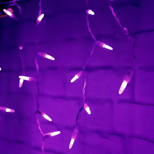 70 M5 Purple LED Icicle Lights - Christmas Lights