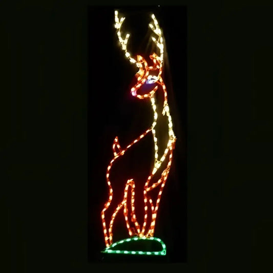 Buck - Wireframes Displays and Yard Art