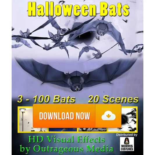Halloween Bats Projection Effect Digital Download - Digital Decorations and Projection Effects