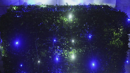 5mm 4' x 6' Blue, Cool White DreamSpark Smooth Fade LED Net Lights
