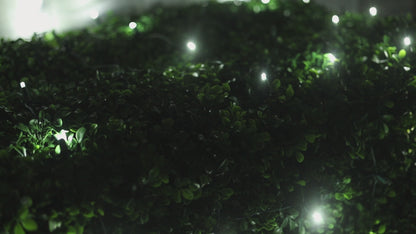 5mm 4' x 6' Cool White DreamSpark Smooth Fade LED Net Lights