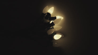 C7 Warm White Twinkle Smooth ProCore LED Christmas Light Bulb String Light Set, 25 Lights, 25'