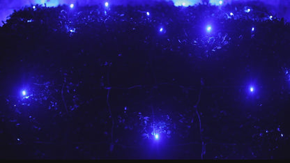 5mm 4' x 6' Blue DreamSpark Smooth Fade LED Net Lights