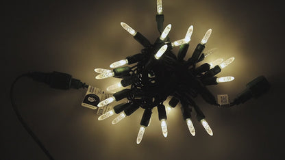 70 M5 Warm White Twinkle LED Christmas Lights, 4" Spacing