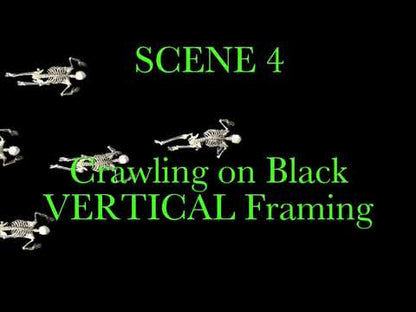 Skeleton Invaders, Projection Effect, Digital Download