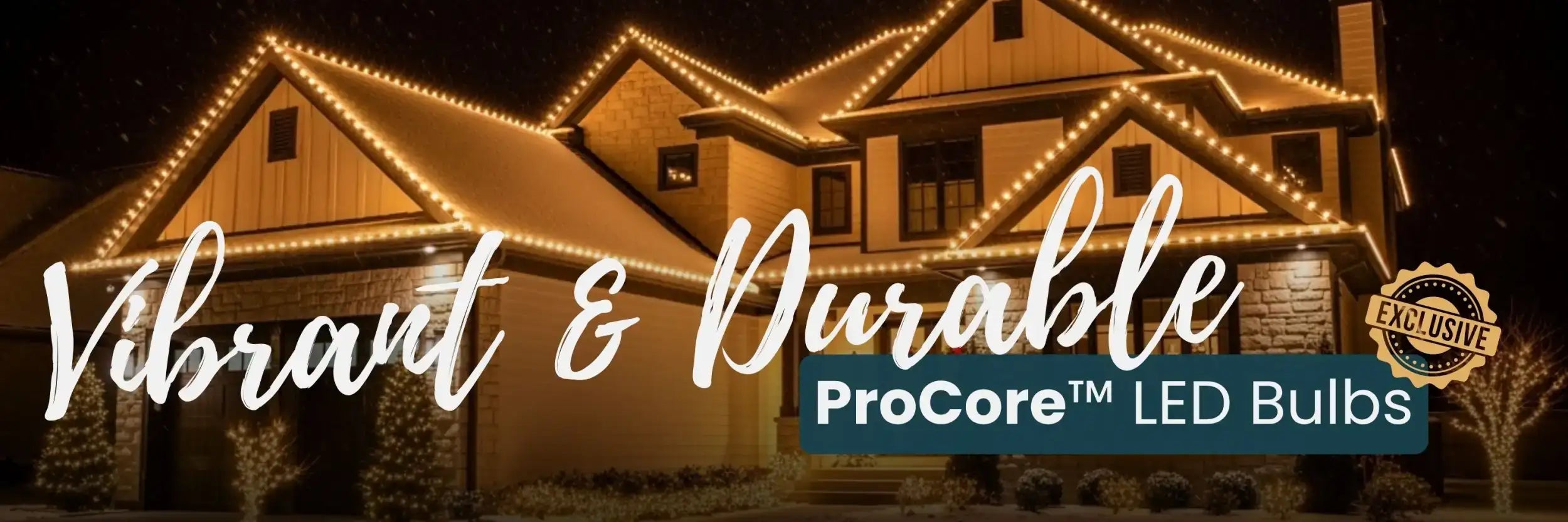 Procore led bulbs with warm white light, durable design for outdoor use.