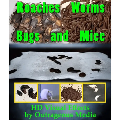 Roaches Worms Bugs & Mice Projection Effect USB Version - Digital Decorations and Projection Effects