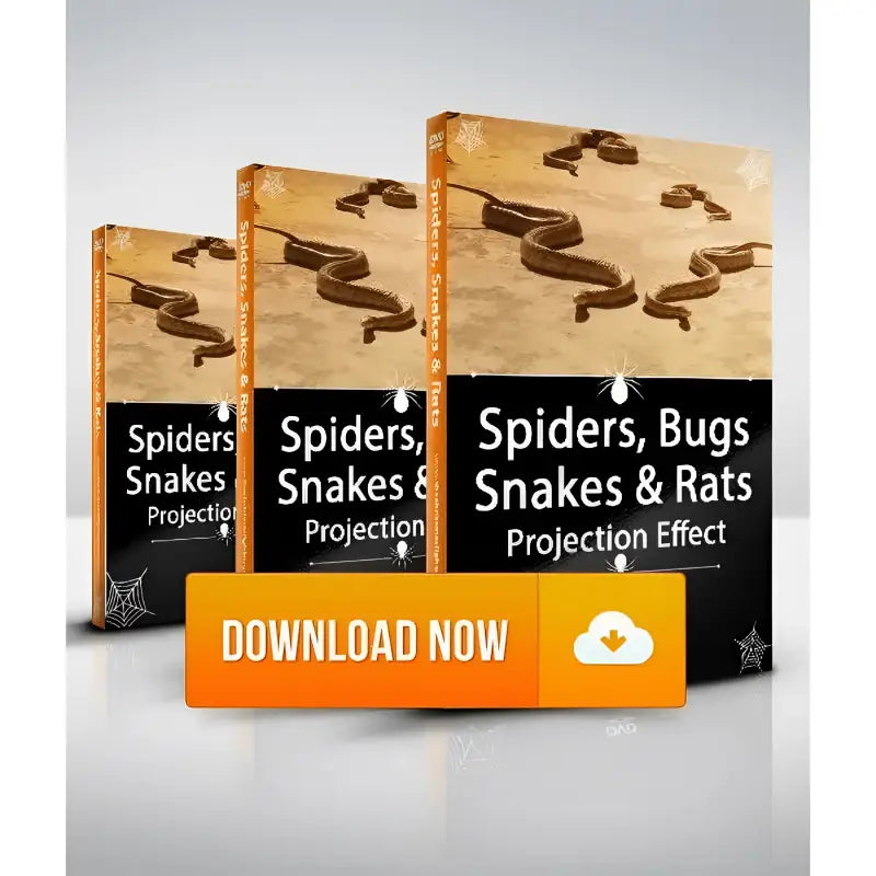 Spiders Bugs Snakes and Rats Virtual Effects Download Digital Halloween Decorations - Digital Decorations